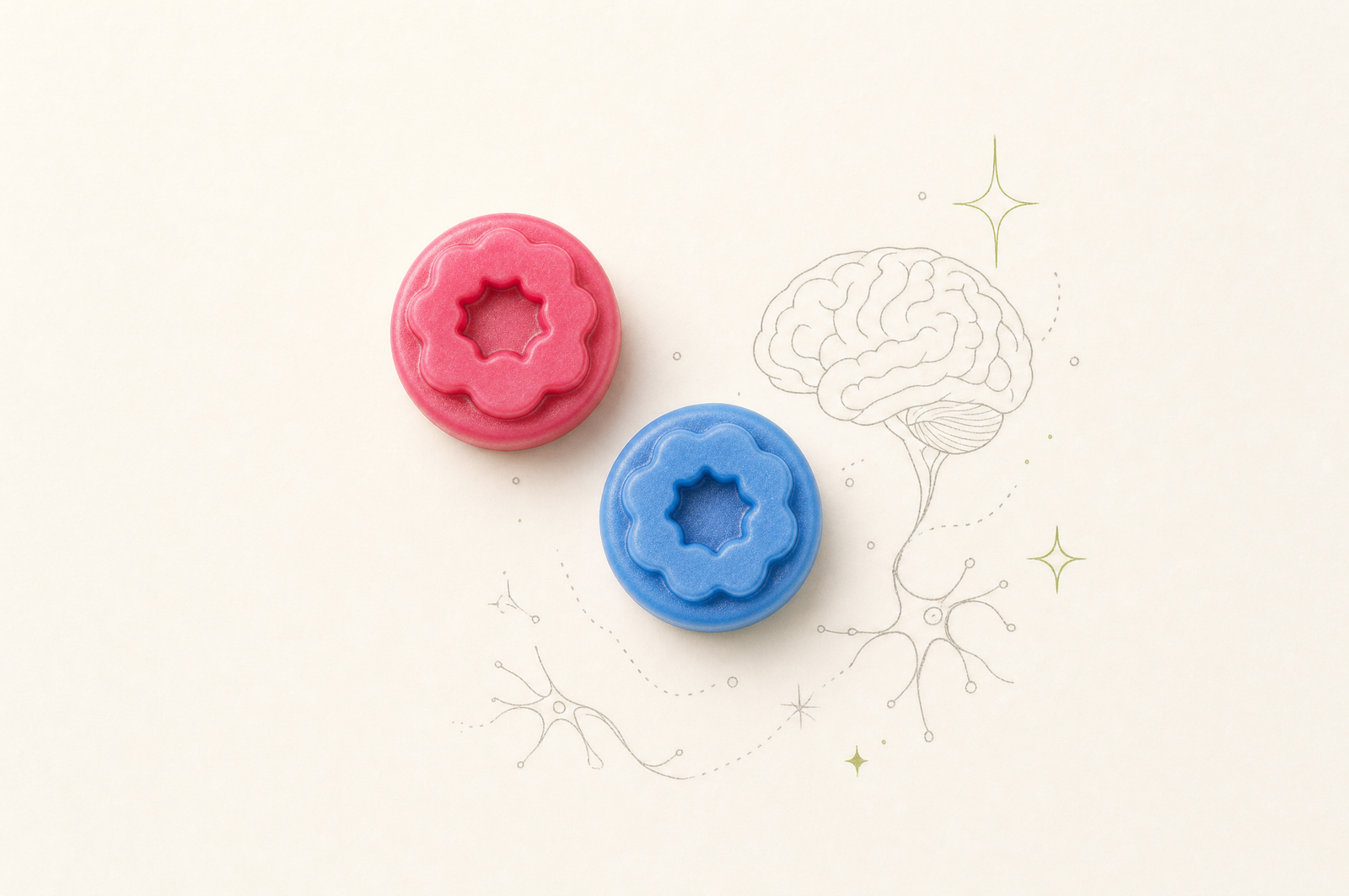 Gomitas de creatina Fills junto a una ilustración de cerebro y neuronas, energía mental y memoria